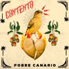 Pobre Canario - Single