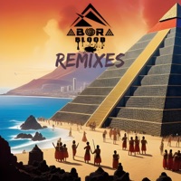 Bada bin (feat. Pielroja) [Nitram MX Remix] - Single - Abora Blood