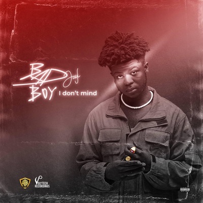 I Don't Mind - Single
