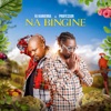 Na bingine (feat. Professor) - Single