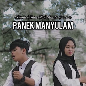 Panek Manyulam Album Art