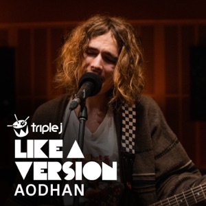 Just What I Needed (triple j Like A Version) - Single