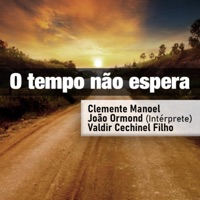 O Tempo Não Espera - Single - João Ormond