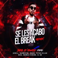 Se les acabó el break (feat. Killah, Dakos, Manolo veneno, Boss, El DB, EL HVRMIN & Uzbell) [Remix] - Single - Seb D