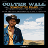 Plain to See Plainsman - Colter Wall