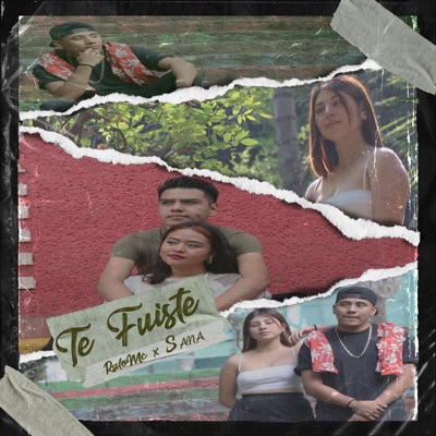 Te Fuiste (feat. SANA) - Single