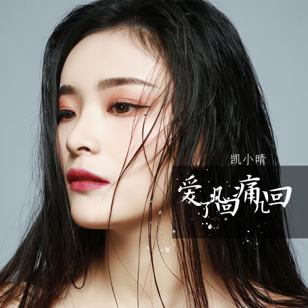 爱了几回痛几回 - Single