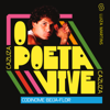 Codinome Beija-Flor - Luiza Martins & Cazuza