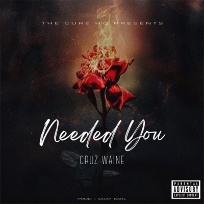 Needed You - Single