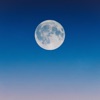 Talking to the Moon (Instrumental Version) - Single