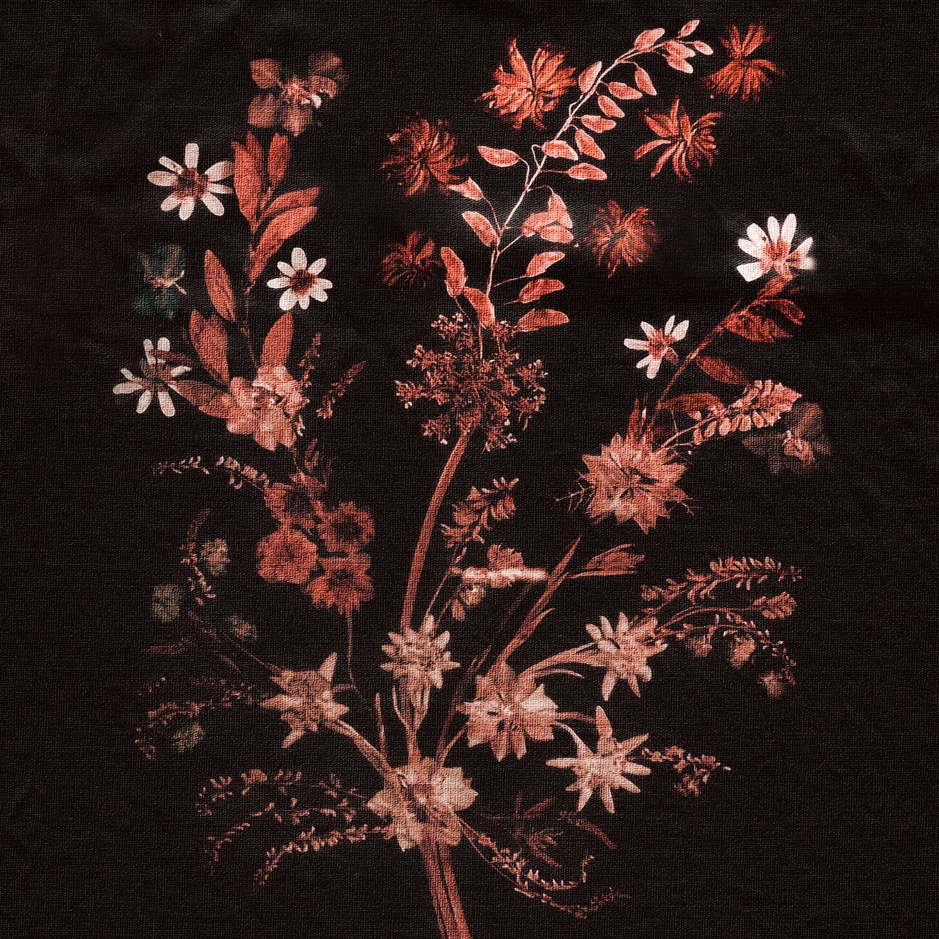 Tout ce qui reste - Single