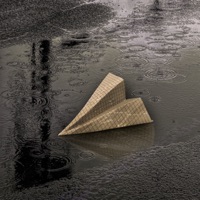 Суета - Single - COSTCO & ONEKES