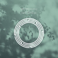 Polaridad - Single - Gonza Ponce, Plecta & Matt Lee