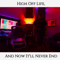 High Off Life, And Now It'll Never End - Single - Lil Webb