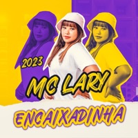 Encaixadinha - Single - MC Lary