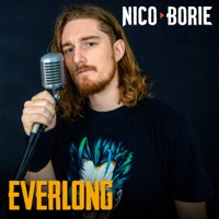 Everlong (Cover) - Single - Nico Borie