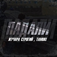 Падали - Single - Жучара Строгий & Tamuki