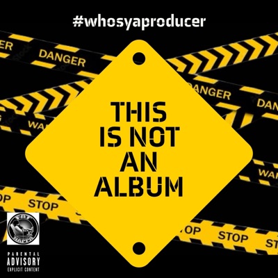 This Is Not an Album