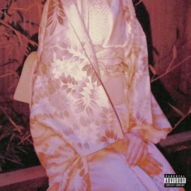 Cult In the Condo (feat. ripkyoto) $hinji