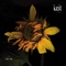 Festus - keit project lyrics