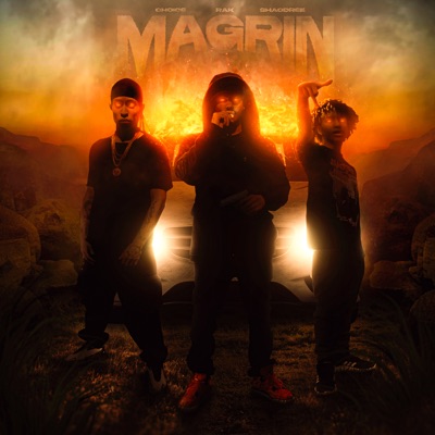 Magrin (feat. Choice & Shaodree) - Single