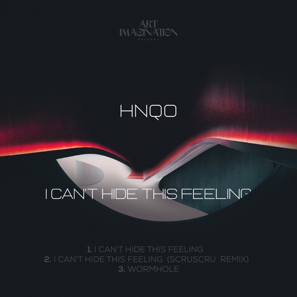 I Can't Hide This Feeling - Single