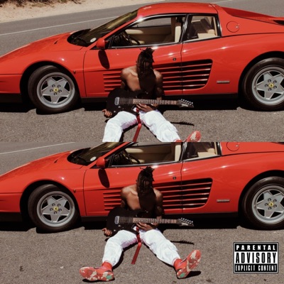 The Human Experience