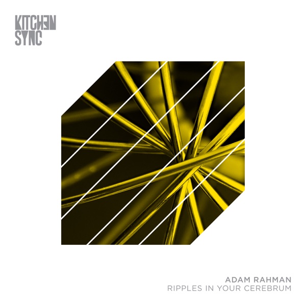 Ripples In Your Cerebrum - Single