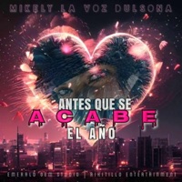 ANTES QUE SE ACABE EL AÑO - Single - Mikely La Voz Dulsona