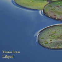 Album cover for Wisp by Thomas Erwin