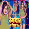 Rangdar Ke Jila Ha - Single