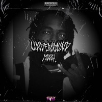 Underground Music! - Steezy Purp