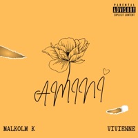 AMINI (feat. Vivienne) - Single - Malkolm K