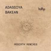 Rebirth Remixes artwork