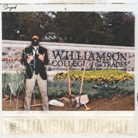 Williamson Dropout - Slayed