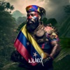 Venezuela cover art