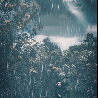 Searching For Serenity