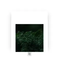 收听 Lluvia ambiental para dormir、观看音乐视频、阅读小传、查看巡演日期等 ！