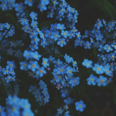 Always Beside You - Single