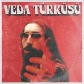 Veda Türküsü artwork