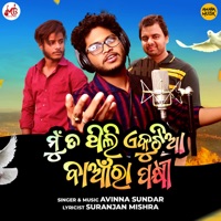 Mun Ta Thili Ekutia Baanra Pakhi - Single - Avinna Sundar