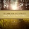 Woodland Wonders - Harmonic Pathways lyrics