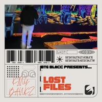 Lost Files - EP - King Bankz