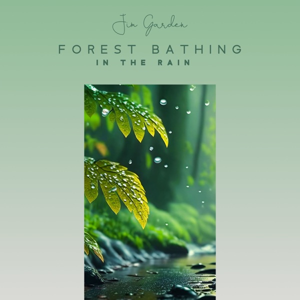 Forest Bathing in the Rain: Tranquil Meditation for Pure Calm, Enter the Atmosphere of Spiritual Harmony, Relax, Stress Relief, Sleep