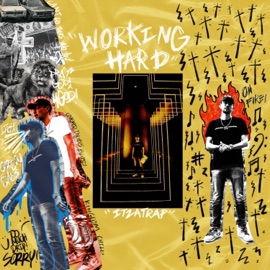 Working Hard Itzatrap