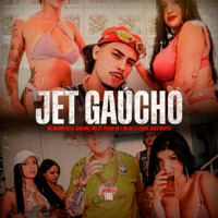 Jet Gaúcho (feat. Pedro RS, Mc Da Tz & Mc 2D) - Single - MC Menor da VF, Rprince & Reall Ng