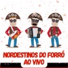 NORDESTINOS DO FORRÓ - Assum preto - NORDESTINOS DO FORRÓ