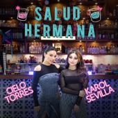 Salud Hermana artwork