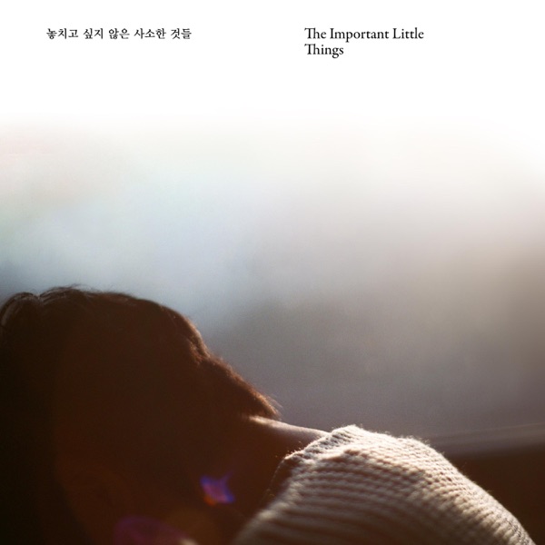 The Important Little Things - EP