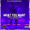 What You Want (feat. UglyMarco) - Single